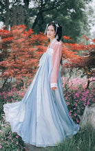 Load image into Gallery viewer, Women Chinese Traditional Costume Female Hanfu Clothing Lady Han Dynasty Princess Clothing Oriental Tang Dynasty Dress Fairy