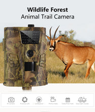 Load image into Gallery viewer, 12MP 1080P Trail Hunting Camera  Wildcamera Wild Surveillance HT001B  Night Version  Wildlife Scouting Cameras Photo Traps Track