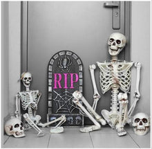 Load image into Gallery viewer, 36 Inch Halloween Prop Skeleton Full Size Skeleton Skull Hand Lifelike Human Body Poseable Anatomy Model Party Festival Decor
