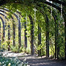 Load image into Gallery viewer, 6pcs bird repeller rotating rod reflective rod environmental protection agricultural bird bird bird scare bird