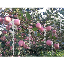 Load image into Gallery viewer, 6pcs bird repeller rotating rod reflective rod environmental protection agricultural bird bird bird scare bird