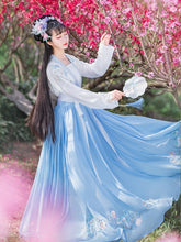 Load image into Gallery viewer, Fuling embroidered Hanfu women&#39;s full-chested waist skirt big sleeve shirt heavy industry embroidery traditional Chinese Hanfu