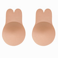 Load image into Gallery viewer, Hc1bb52a0c8f842d198772fad21303a2fP.jpg