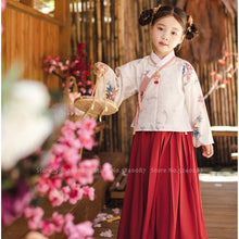 Load image into Gallery viewer, Mother Daughter Chinese Traditional Hanfu Party Dress Women Girl Fairy Princess Performance Costume Bag Kid Embroidery Tang Suit