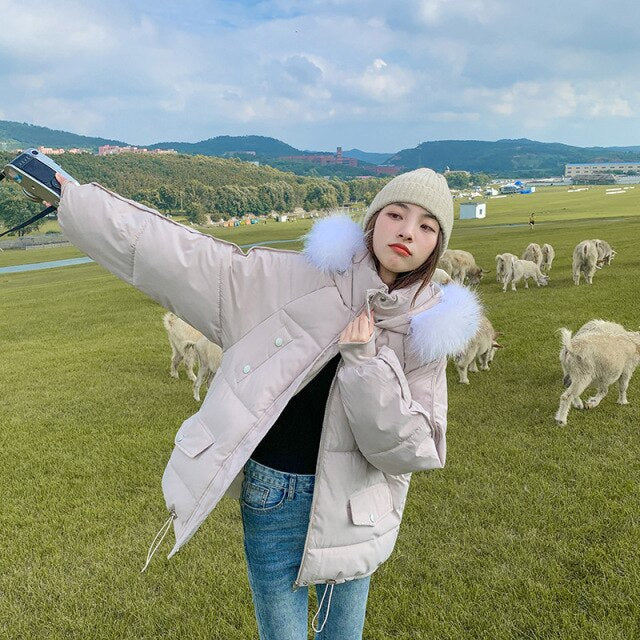 New Short Fur Collar Women's Jackets Zipper Simple Woman Coat Thicken Female Casual Down Jacket Solid Pocket Women Hooded Parka