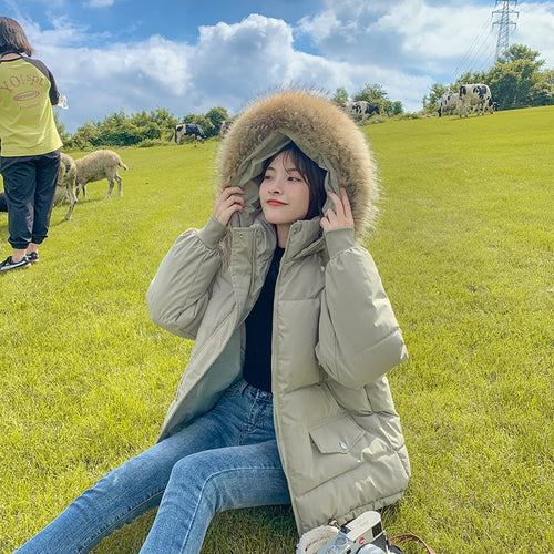New Short Fur Collar Women's Jackets Zipper Simple Woman Coat Thicken Female Casual Down Jacket Solid Pocket Women Hooded Parka