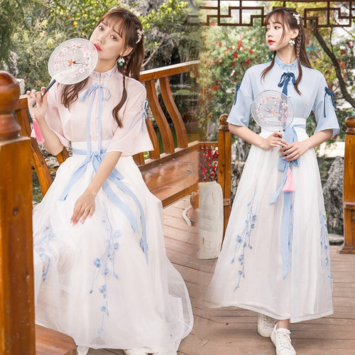 White China Han Element Clothing Blue Traditional Chinese Clothes Women Costume Hanfu Improved Pink Female Dynastie Tang Skirt