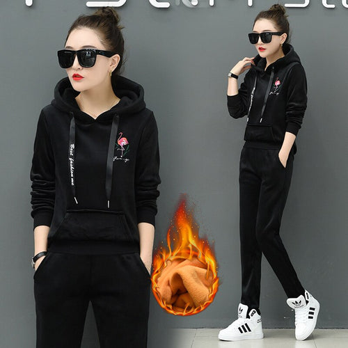 Winter Velvet Tracksuit Women Two Piece Set Warm Clothes Hoodies Fleece Sweatshirt and Pants Velour Suits Female Thicken Outfits