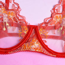 Load image into Gallery viewer, Women Sexy Lingerie Bra Set Sexy Lingerie Exotic Costumes Underwear Perspective Bra with Garters Exotic Porn Erotic Home Sets