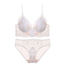 Load image into Gallery viewer, women underwear lace lingerie set sexy hot embroidery bralette push up bra and panty sets comfortable exotic intimates Lingerie